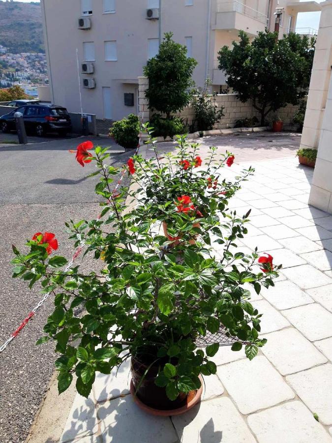 Apartments Pojko Dubrovnik Eksteriør billede