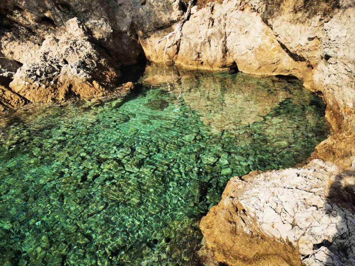 Apartments Pojko Dubrovnik Eksteriør billede